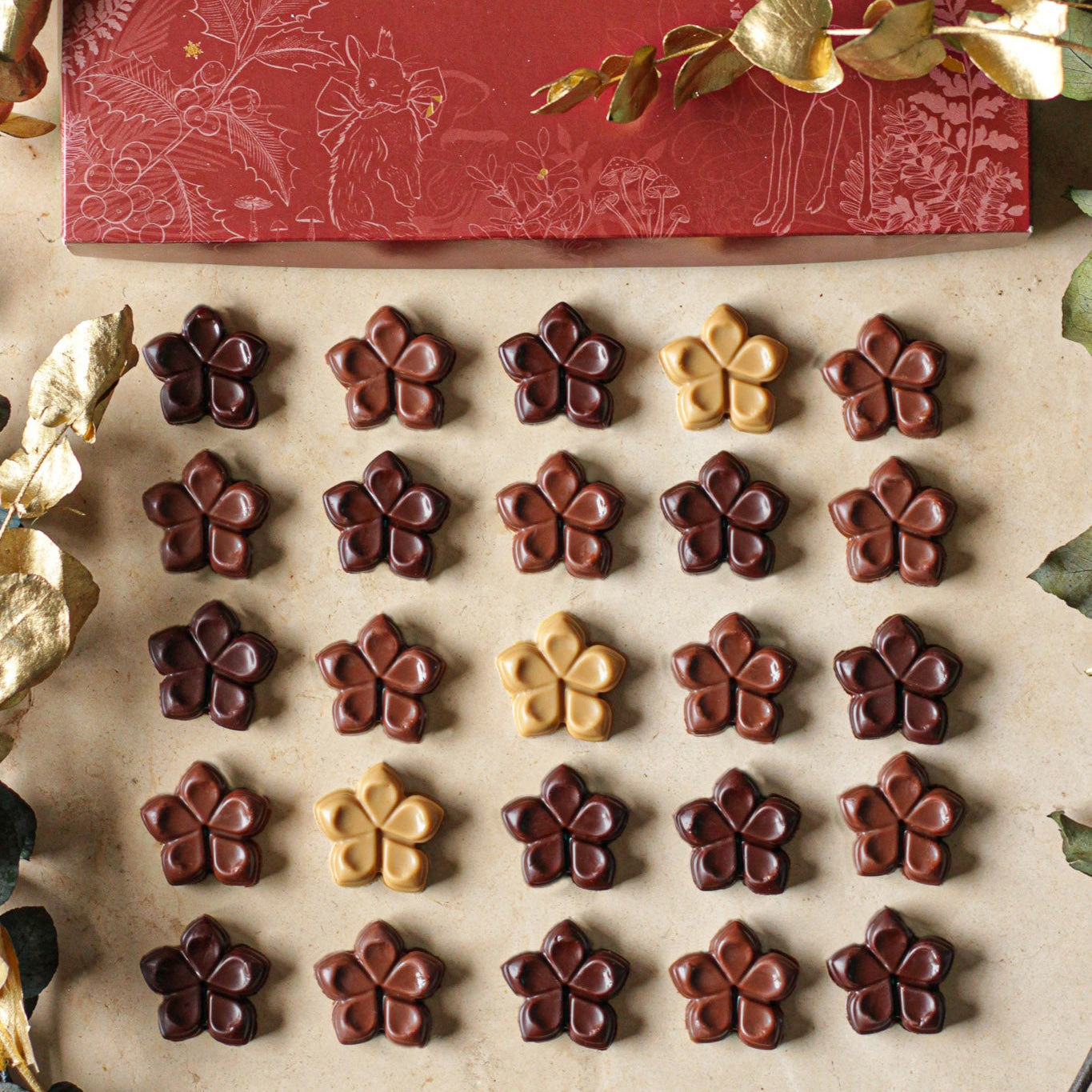 Précommandes Calendrier de l'Avent