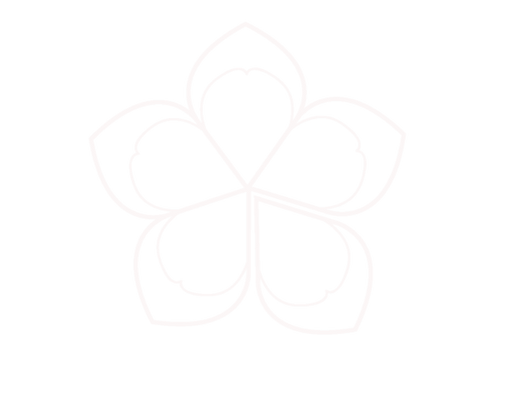 Eshop Le Jardin Sucré