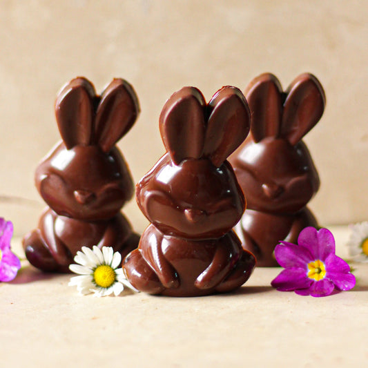 Précommande Lapin Guimauve (2 pièces)